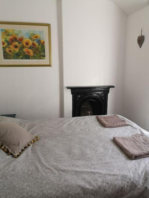 Dol Bach - Your Homely Welsh Cottage In The Heart Of Snowdonia Blaenau Ffestiniog Esterno foto