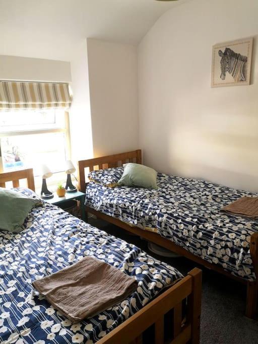 Dol Bach - Your Homely Welsh Cottage In The Heart Of Snowdonia Blaenau Ffestiniog Esterno foto