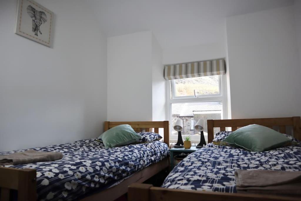 Dol Bach - Your Homely Welsh Cottage In The Heart Of Snowdonia Blaenau Ffestiniog Esterno foto